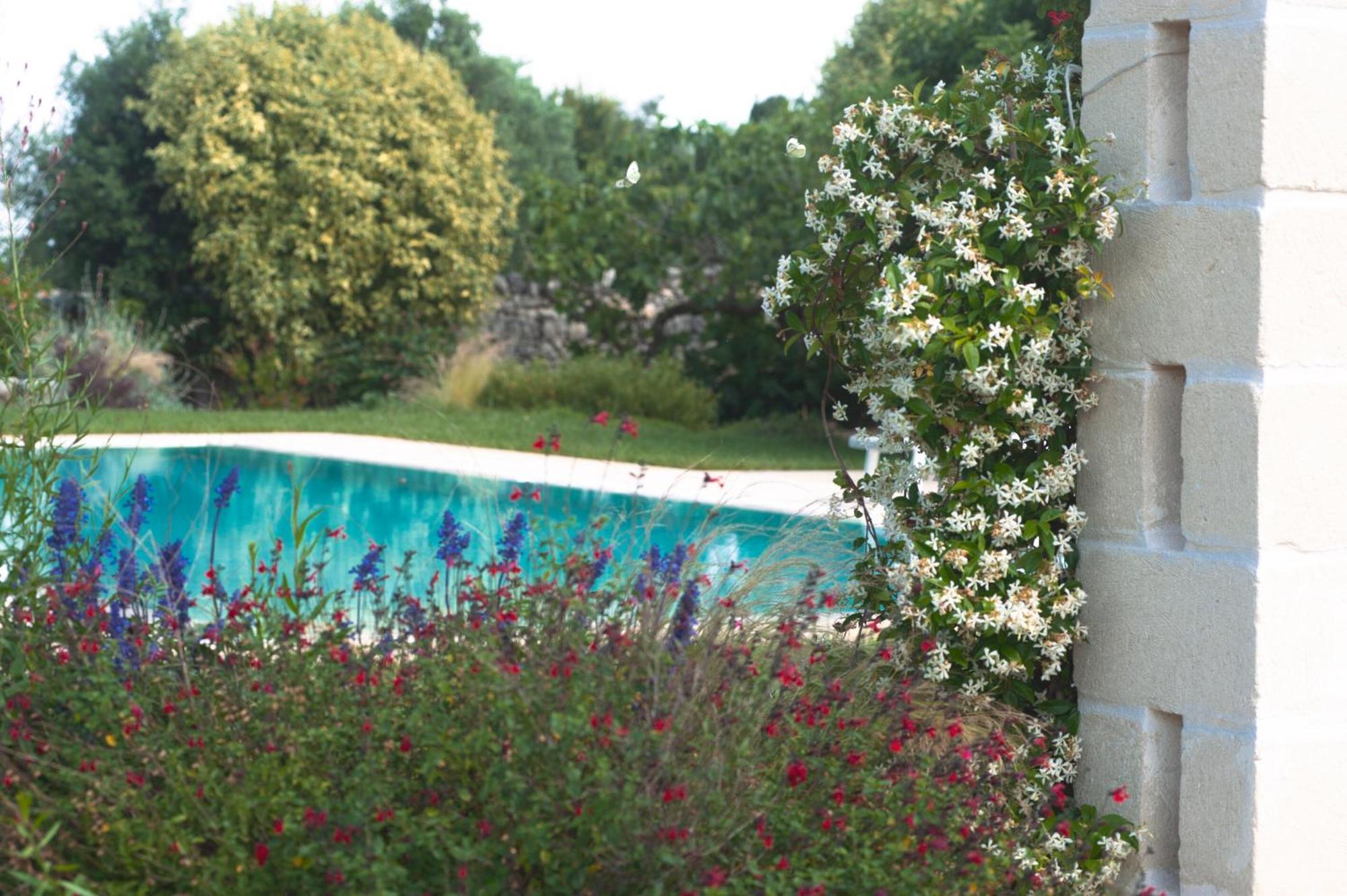 Agriturismo Masseria Calongo Cisternino Dış mekan fotoğraf
