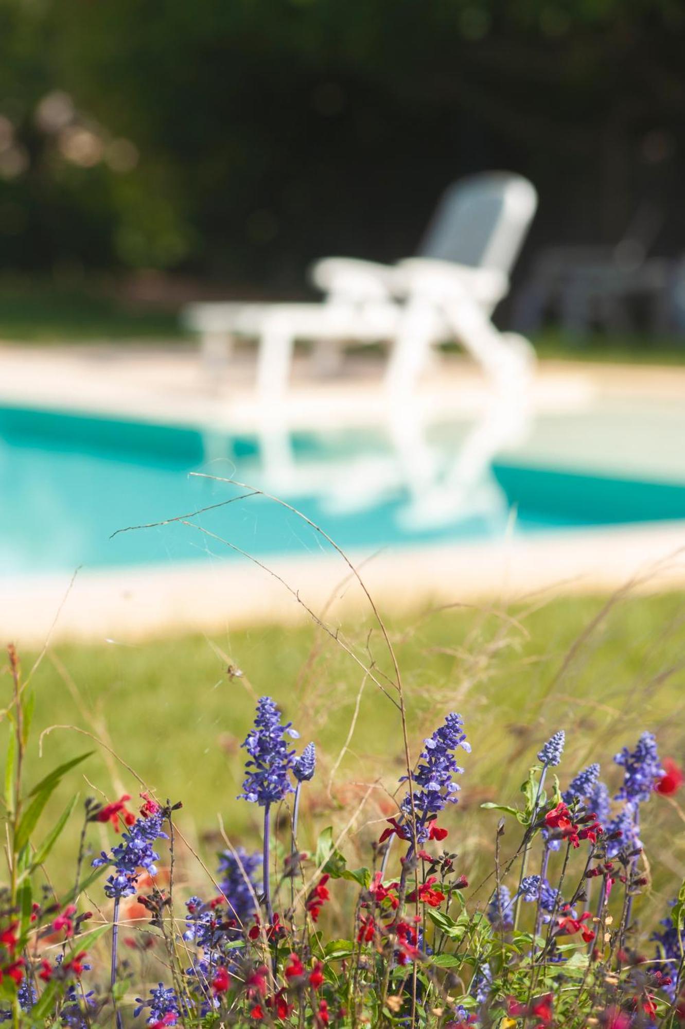 Agriturismo Masseria Calongo Cisternino Dış mekan fotoğraf