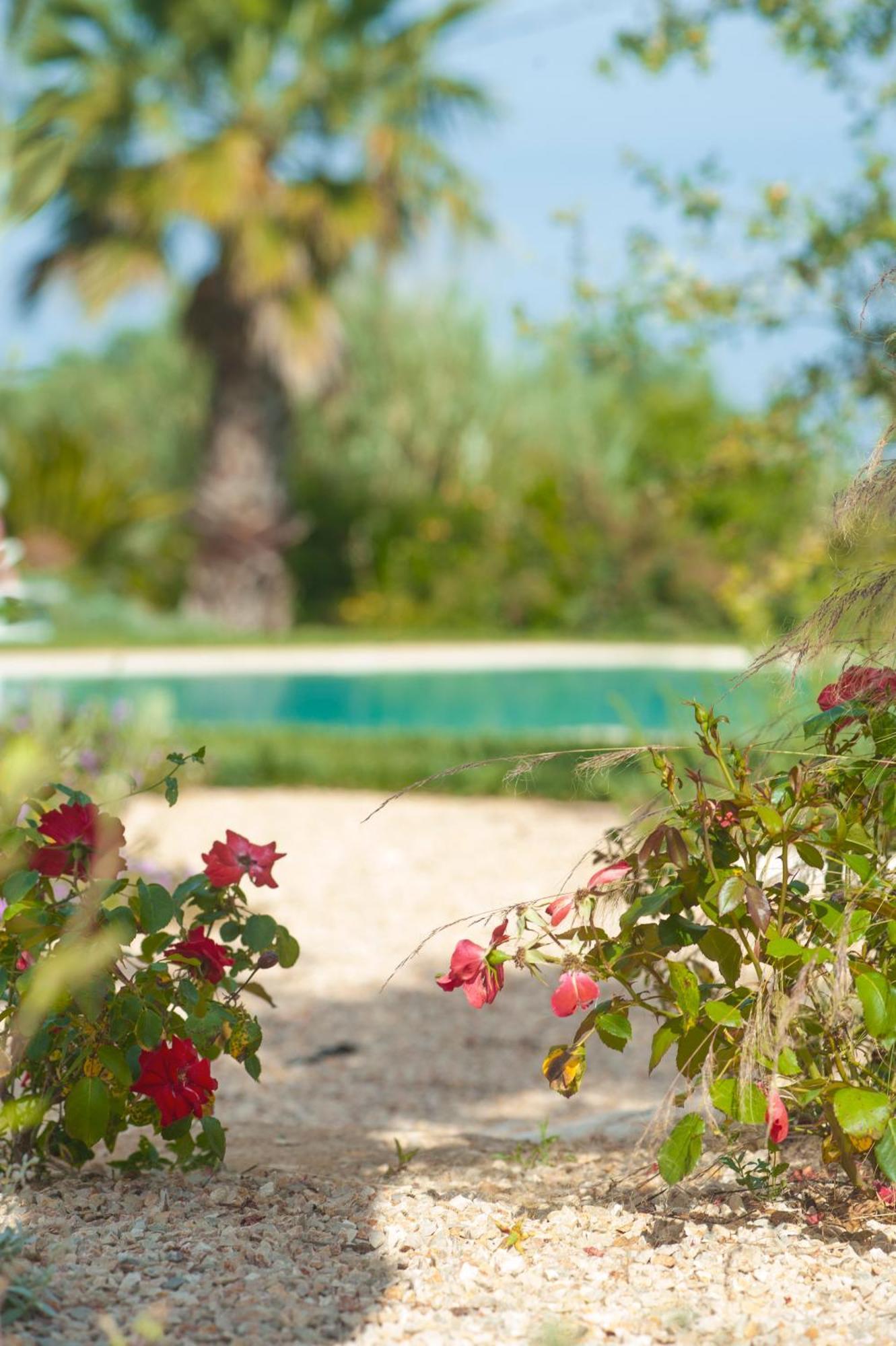Agriturismo Masseria Calongo Cisternino Dış mekan fotoğraf