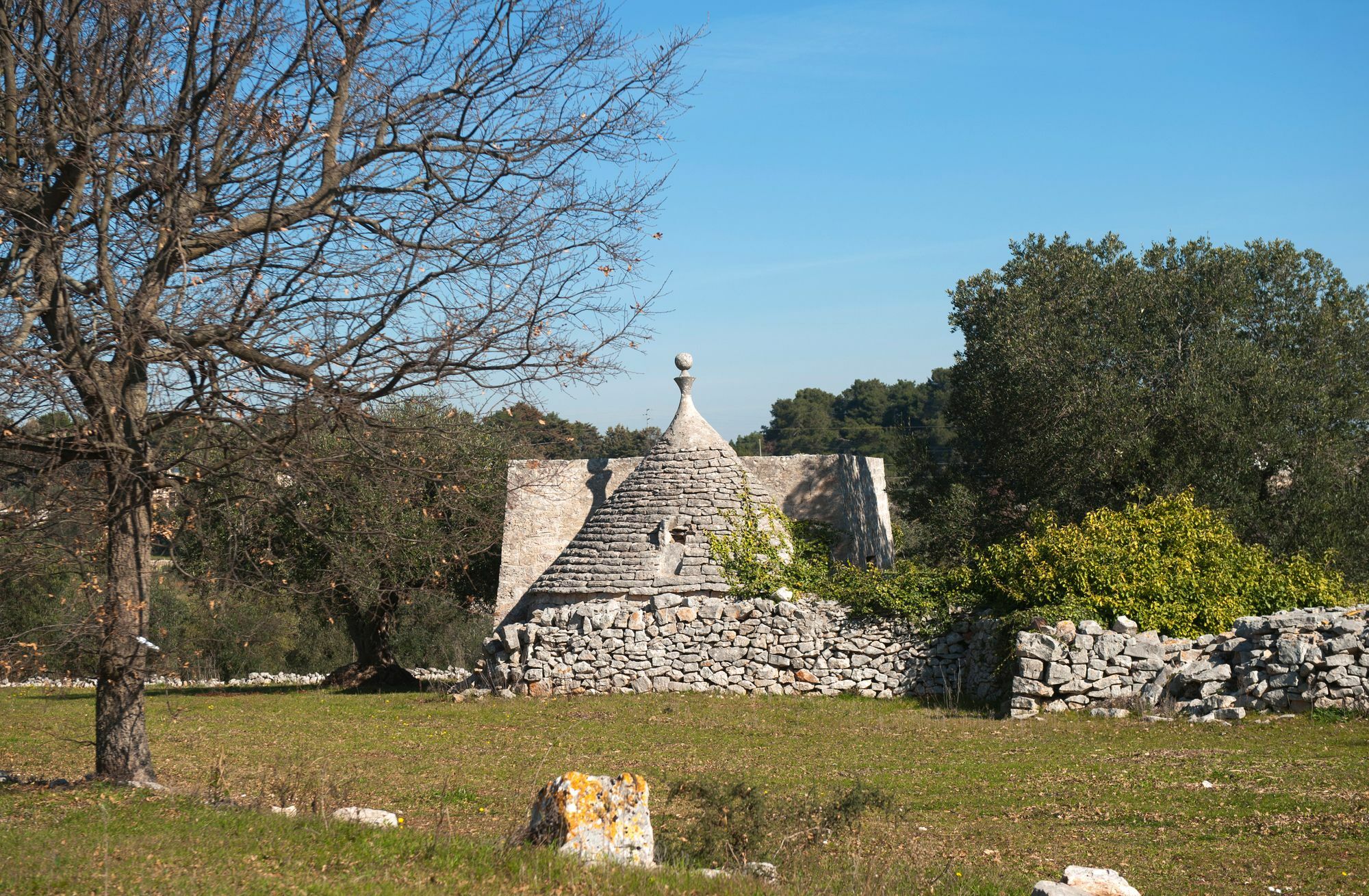 Agriturismo Masseria Calongo Cisternino Dış mekan fotoğraf